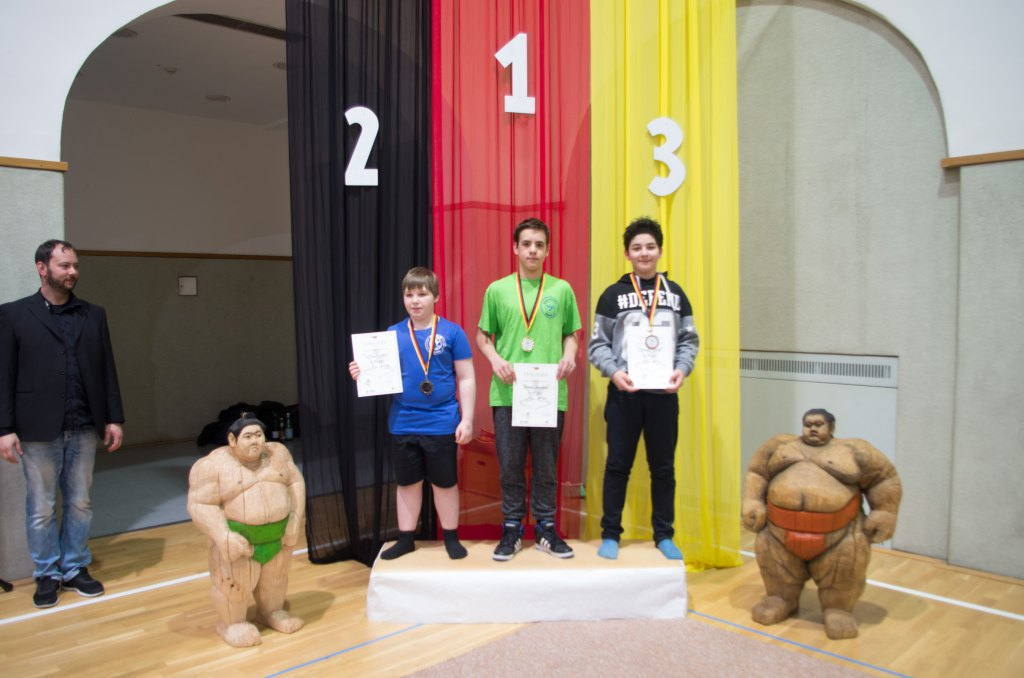 SumoDM_2016_1893